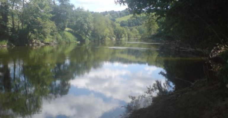 River Severn, Seckly Wood