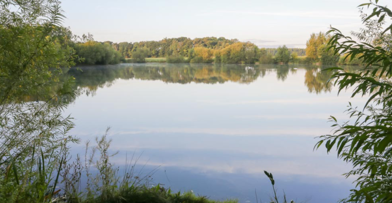 Stubby Leas Lake Elford