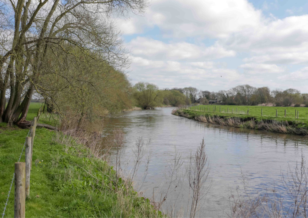 River Tame Elford - Sutton Coldfield Angling Society